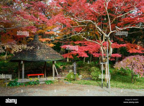 Koishikawa Korakuen Garden in Autumn in Tokyo Stock Photo - Alamy