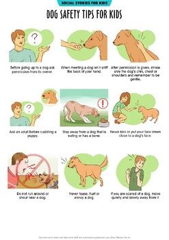 Dog Safety Tips for kids by Marina's Stories | TPT