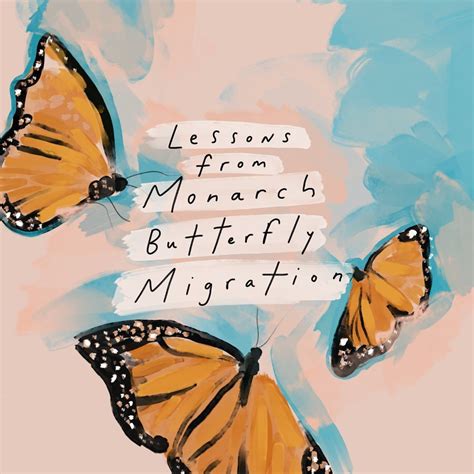 Morgan Harper Nichols on Instagram: “Lessons from Monarch Butterfly ...