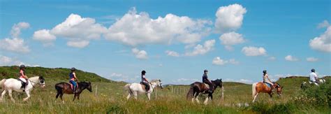 Moycullen Riding Centre