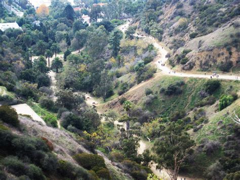 operation WANDERLUST: Runyon Canyon Park