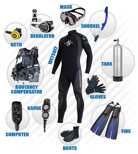 A Starter Guide On Scuba Gear Cleaning And Maintenance | Scuba diving equipment, Diving ...