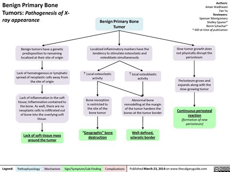 Benign Primary Bone Tumors: Pathogenesis of X-ray appearance | Calgary ...