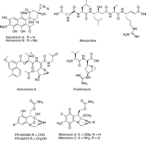 Fused aziridine-containing natural products. | Download Scientific Diagram