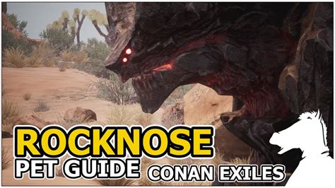 ROCKNOSE | Pets Guide | CONAN EXILES - YouTube