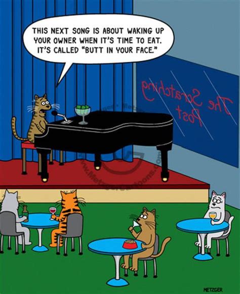 Funny Cat Cartoons | Fun