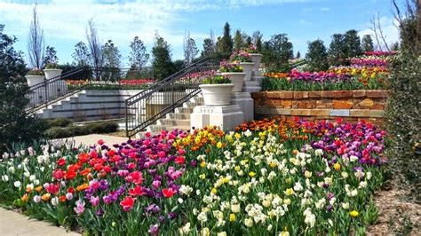 Tulsa Botanic Garden | Green Country Oklahoma | Official Site