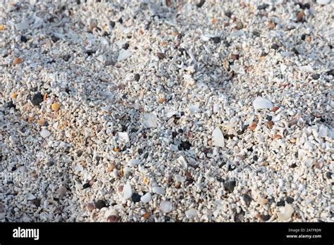 detail of Coral Beach on the Isle of Skye Stock Photo - Alamy