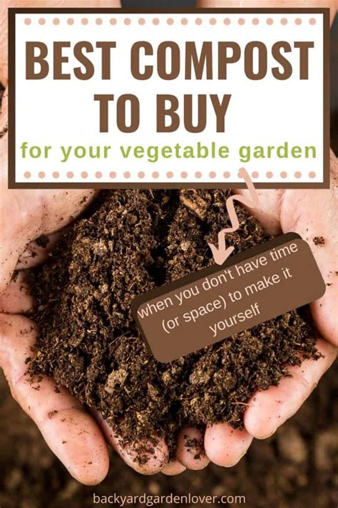 Best Compost To Buy For Vegetable Garden