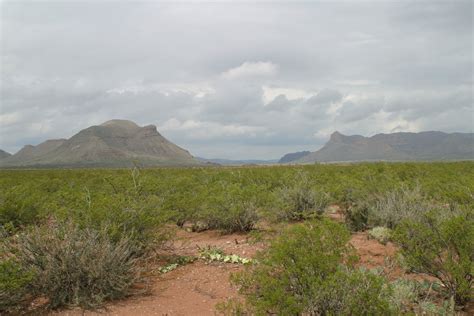 Chihuahuan Desert | One Earth