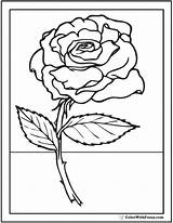 Cool Rose Coloring Pages sketch template