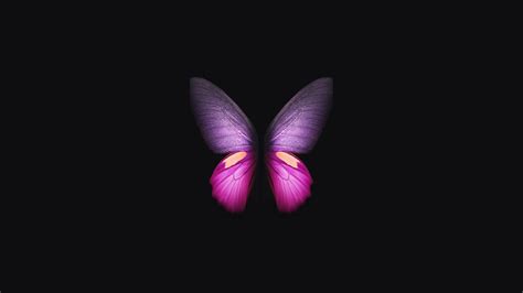 2560x1440 Samsung Galaxy Fold Butterfly 1440P Resolution ,HD 4k Wallpapers,Images,Backgrounds ...