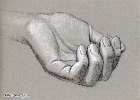 Best 25+ Hand drawings ideas on Pinterest | Art drawings sketches, How to draw hands and Drawing ...