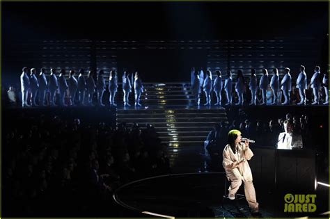 Billie Eilish Shows Off Her Immense Talent During Grammy Awards 2020 Performance | Photo 1285262 ...