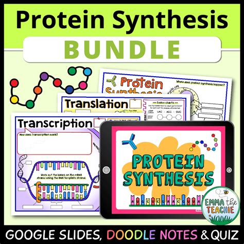 Protein Synthesis Bundle - Emmatheteachie