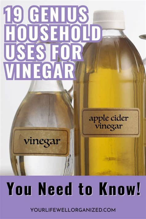 19 Genius Household Uses of Vinegar - Your Life Well Organized