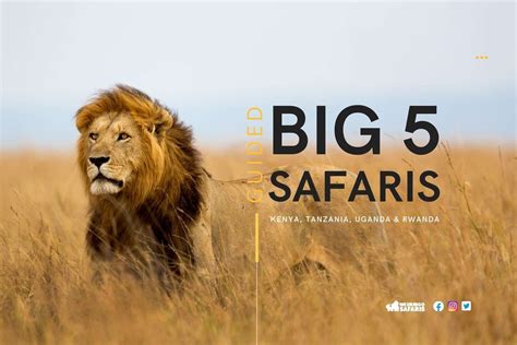 Big 5 Safari Trips in East Africa | Wildlife Game Drives | Nkuringo Safaris