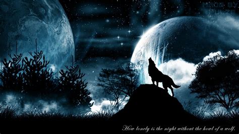 Lone Wolf Wallpaper (57+ images)