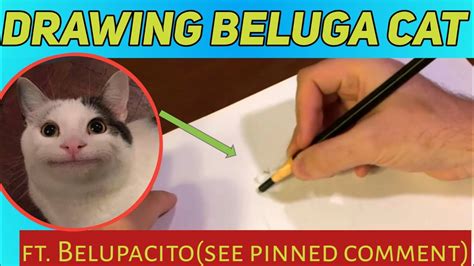 Drawing The Beluga Cat | 5 Million Surprise 🎉 | Ft. Belupacito #shorts - YouTube