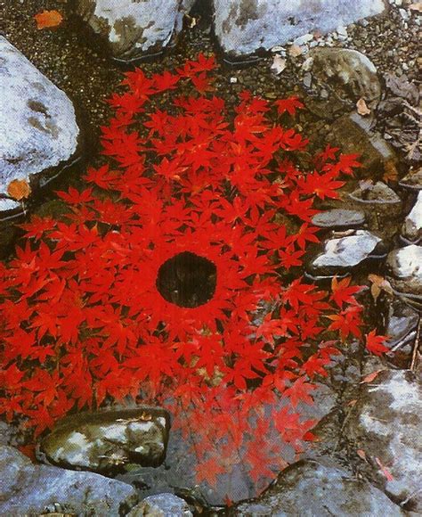 lhlefevre.com Blog » Environmental Installations Introduction | Andy goldsworthy art ...