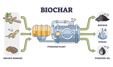 Biochar: The Secret to Improving Soil Health & Garden Production