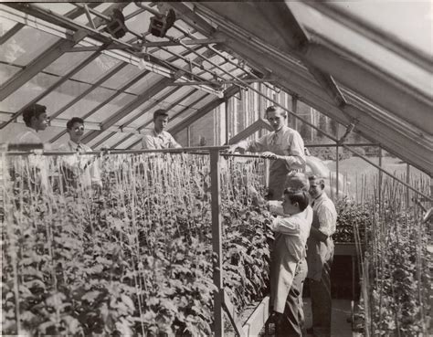 Combining Science and Art: The History of Horticulture at MHS - Milton Hershey School