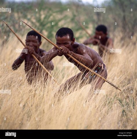 Bushman hunting hi-res stock photography and images - Alamy