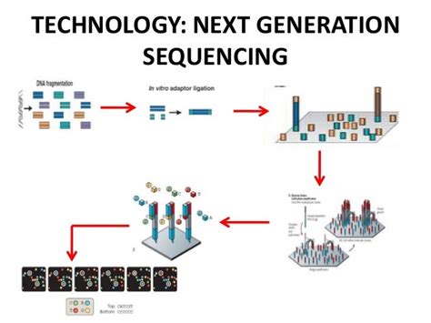 [PDF] Nextgeneration Sequencing Current Technologies And Applications ...