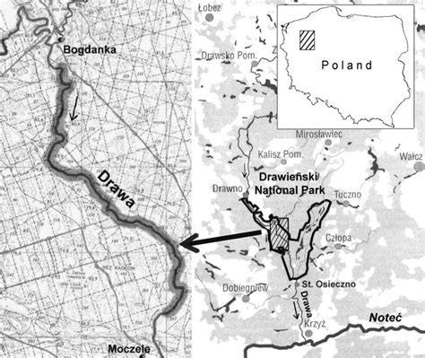 Map showing the location of patches of Potamogeton × sparganiifolius in... | Download Scientific ...