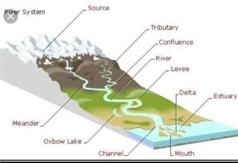 Diagram on Formation Of Delta - Brainly.in