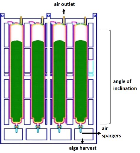 Design of vertical photobioreactor (BJVP) | Download Scientific Diagram