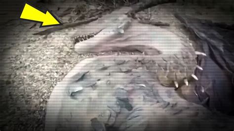 5 Monsters Caught On Camera & Spotted In Real Life! - YouTube