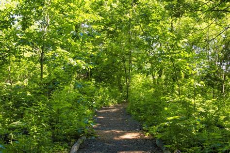 The Hallett Nature Sanctuary of Central Park NYC | Map, Entrance, Hours