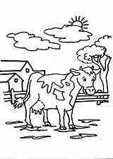 Silk Road Coloring Pages Coloring Pages sketch template