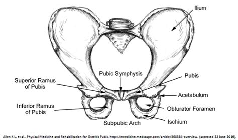 Pubic Symphysis Dysfunction - Physiopedia