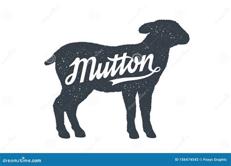 Mutton, Sheep, Lamb. Lettering. Vintage Lettering, Retro Print Stock Vector - Illustration of ...