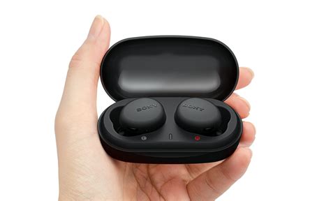 New Sony Earbuds 2025 - Pet Lebbie