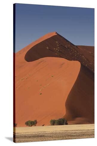 Sossusvlei, Namibia. Red Sand Dunes Photo by Janet Muir - AllPosters.co.uk