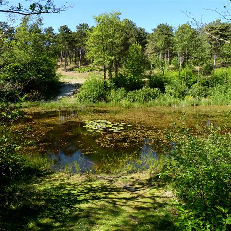 Vlieland is an oasis of tranquillity | © all rights reserved… | Flickr