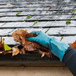 Mia Rain Gutter Cleaning - Rain Gutters Solution