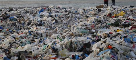 10 Frightening Facts About Plastic Pollution We All Need To Know