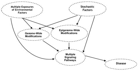 IJMS | Free Full-Text | Environmental DNA and RNA as Records of Human Exposome, Including Biotic ...