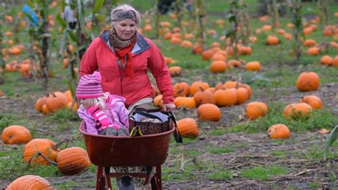 Families: Stoney Ridge Farm open for its final fall season | Bellingham Herald