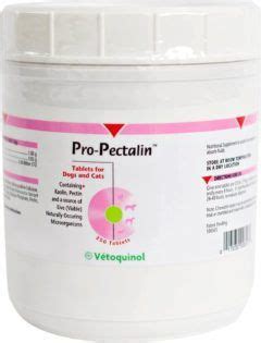 The Best Probiotics for Cats: The 10 Best Cat Probiotics Review