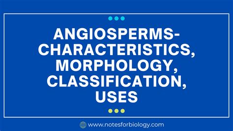 Angiosperms- Characteristics, Morphology, Classification, Uses