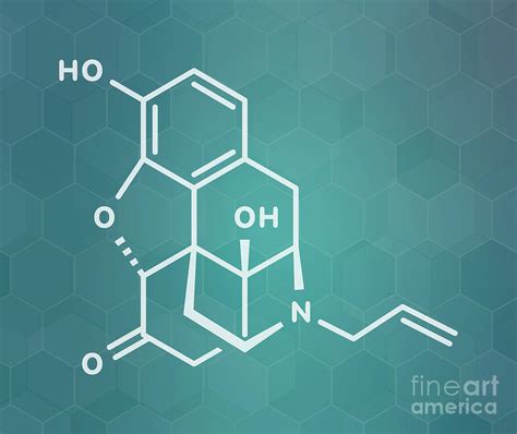 Naloxone Opioid Receptor Antagonist Photograph by Molekuul/science ...