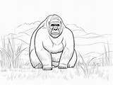 Gorilla Coloring Masterpiece  Page sketch template