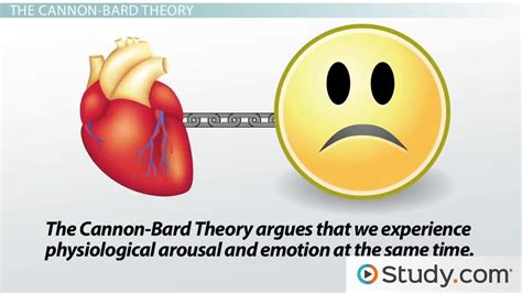 James-Lange & Cannon-Bard Theories of Emotion - Lesson | Study.com