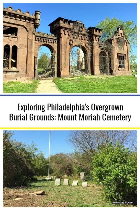 Mount Moriah Cemetery: Philly's Overgrown Burial Grounds