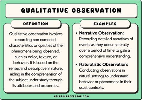 23 Qualitative Observation Examples (2024)